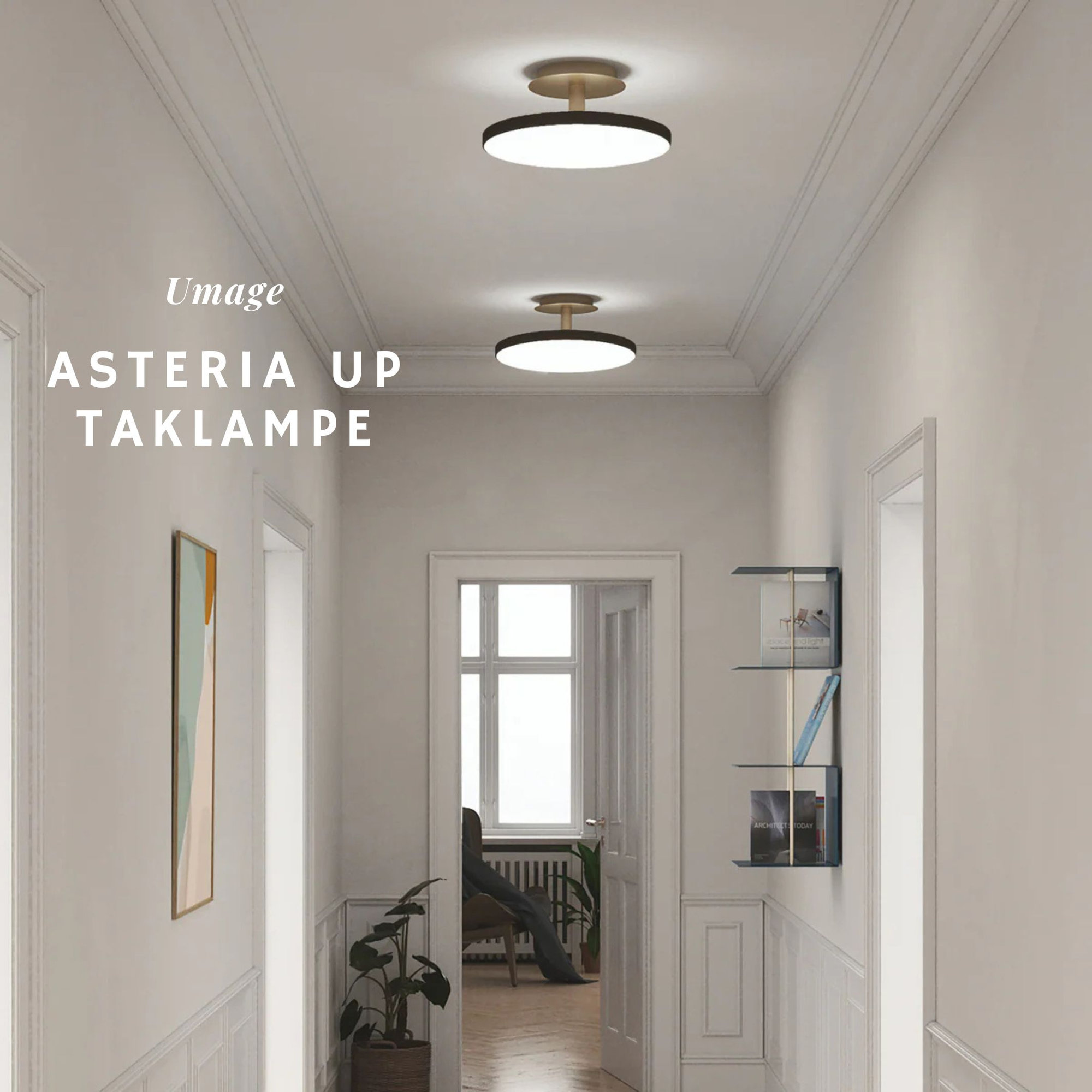 Asteria up